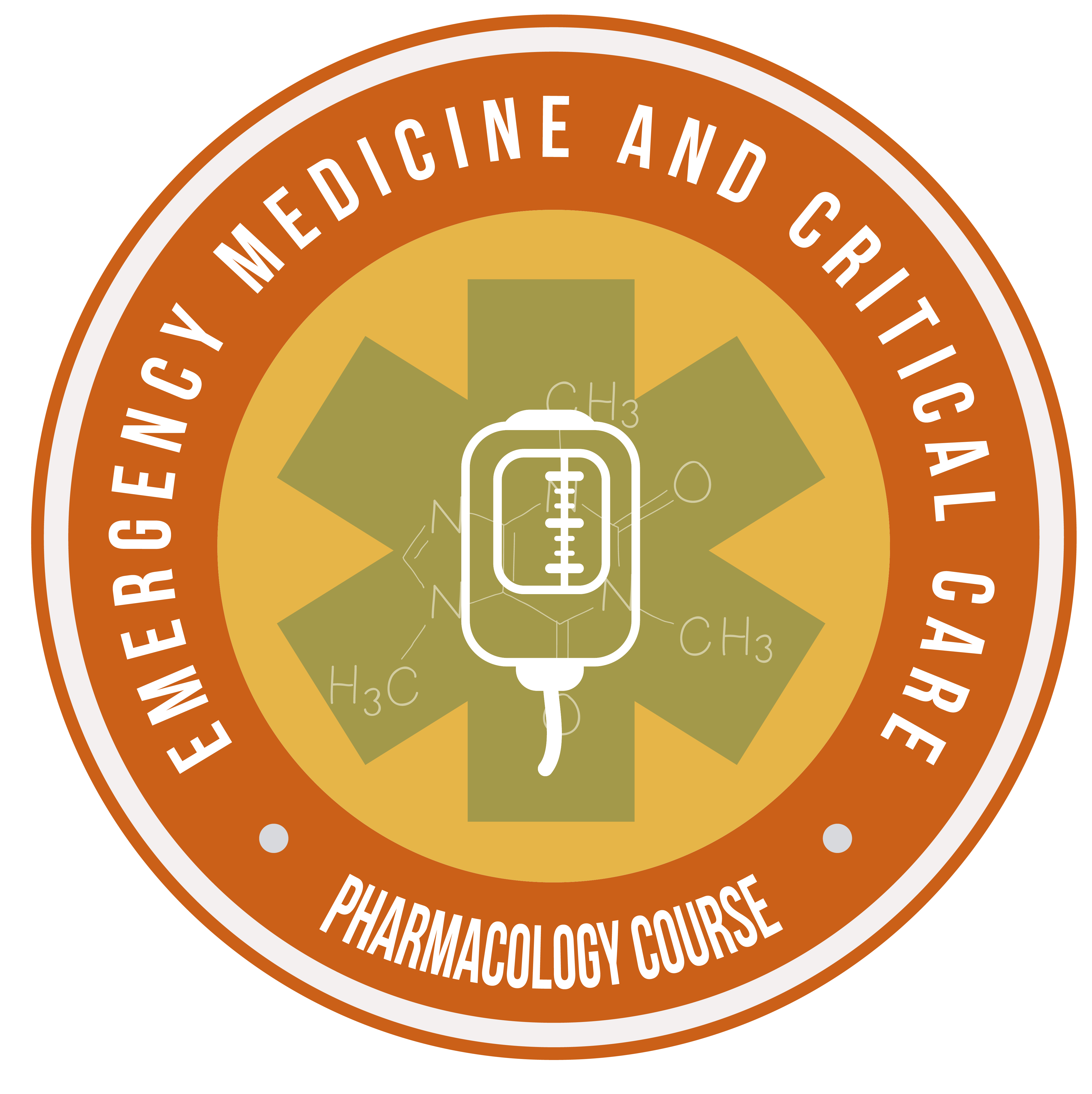 PharmD-Critical Care